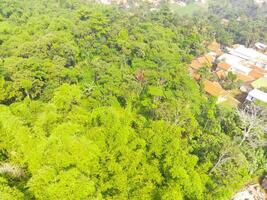 Bird eye view of tropical forest on the edge of the city, forest that functions as a water catchment in the city of Bandung, West Java Indonesia, Asia. Natural Landscape. Top view. Aerial Shot photo