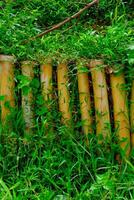 antecedentes fotografía. texturizado antecedentes. cerca arriba de bambú abandone con vides varios piezas de bambú son arreglado como un zanja. Disparo en macro lente. bandung, Indonesia foto