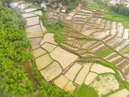 agrícola labor de retazos paisaje. aéreo fotografía. aéreo panorama terminado verde arroz campo. Disparo desde un zumbido volador 200 metros alto. cikancung, Indonesia foto