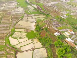 agrícola labor de retazos paisaje. aéreo fotografía. aéreo panorama terminado verde arroz campo. Disparo desde un zumbido volador 200 metros alto. cikancung, Indonesia foto