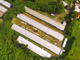 parte superior ver de maíz almacenamiento y Procesando depósito. paisaje ver de el almacén en el medio de extensión de arboles y plantaciones aéreo fotografía. comida industria. Disparo desde un volador zumbido foto