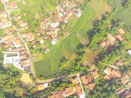 Bird eye view of village among rice fields in Bandung City, Indonesia. Landscape of farmland with rice terrace agricultural crops in countryside. Agricultural Field. Above. Shot from a drone flying photo