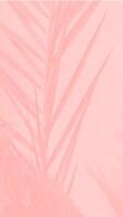 Pink Background texture simple pattern - 81 photo