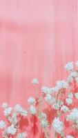 Pink Background texture simple pattern - 65 photo