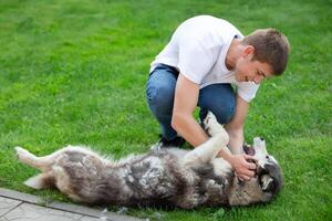 A teenage boy plays with a husky dog. Get a dog. photo