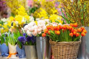 primero primavera flores rebaja de flor ramos de flores para el día festivo. cestas con tulipanes y rosas. foto