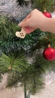 calcetín para regalos vertical nuevo años mano cuelga un juguete en el formar de un calcetín bota en árbol rojo Navidad decoraciones lluvia de cerca decoraciones de el árbol preparando para Navidad mano de un adolescente video
