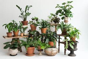 Set of multi-layered plant pots photo