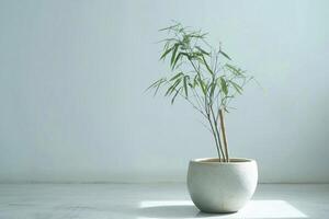 un soltero bambú planta pulcramente plantado en un sencillo envase. foto