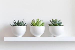White plant pot, minimalist style photo