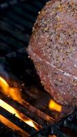 en bit av rå kött i kryddor på en vit tallrik. video