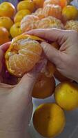 hembra manos pelar el pelar y dividir el Mandarina dentro rebanadas maduro mandarinas y peras en el mesa. Fruta antecedentes. naranja mandarinas y verde peras. video