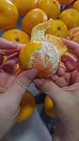 vertical Mandarin tangerine in hand on a background isolation video