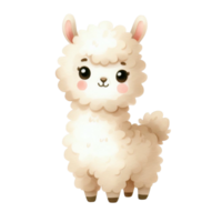 aquarelle graphique mignonne blanc lama png