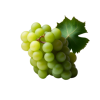 Grape fruits isolated on transparent background png