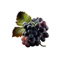 Grape fruits isolated on transparent background png