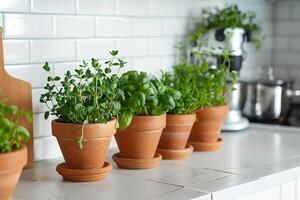 Herbs in pots on the kitchen counter photo