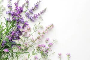 hermosamente arreglado statice y caspia flores en un florero. en un blanco antecedentes foto