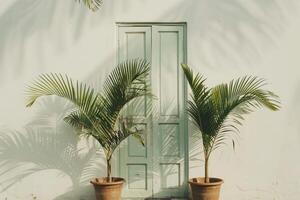un par de en conserva palmas flanqueado el puerta. foto