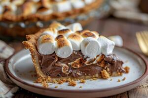 del tamaño de un bocado s'mores tarta con tostado Malvaviscos en cima. foto