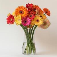 An elegant glass vase with clusters of lively Gerbera flowers. photo