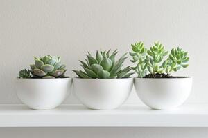 White plant pot, minimalist style photo