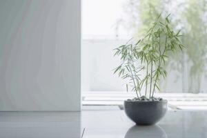 A single bamboo plant beautifully planted in a Zen-inspired container. photo