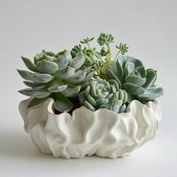 Contemporary ceramic vase showing a group of succulent sculptures. photo