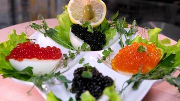 e Preto caviar para faço barcos Fora do limão em palitos de dente para decoração dentro uma lanche restaurante fervido ovos dentro uma tigela decorado com salsinha folhas video