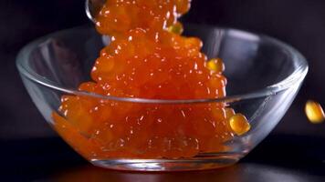 red salmon caviar in a glass bowl video