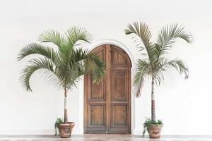 A pair of potted palms flanked the doorway. photo