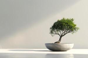 un bonsai árbol plantado en un limpio, minimalista maceta. foto