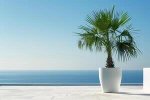 Stunning potted palm trees stand against the backdrop of a clear blue sky. photo