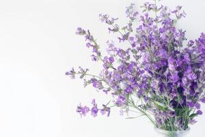Beautifully arranged statice and caspia flowers in a vase. on a white background photo