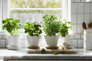 Herbs in pots on the kitchen counter photo