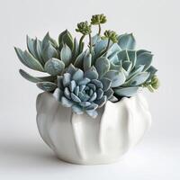 Contemporary ceramic vase showing a group of succulent sculptures. photo