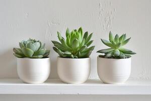 White plant pot, minimalist style photo