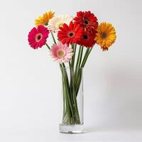 An elegant glass vase with clusters of lively Gerbera flowers. photo