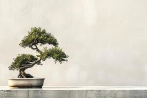 un bonsai árbol plantado en un limpio, minimalista maceta. foto