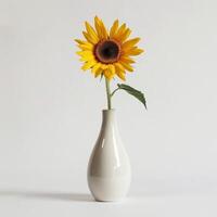 un minimalista cerámico florero sostiene un soltero girasol. foto