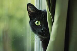 un dañoso negro gato mirando fuera desde detrás un cortina, sus brillante verde ojos brillante con curiosidad foto