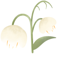 fioritura impianti, fioritura fiori png