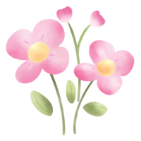 flowering plants, blooming flowers png