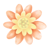 blühen Pflanzen, Blühen Blumen png