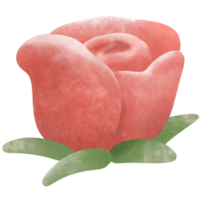 blühen Pflanzen, Blühen Blumen png