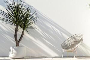 A stunning potted yucca plant stands against a backdrop of bright sunlight. photo