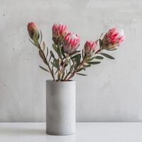 A minimalist concrete vase holds a striking protea bouquet. photo