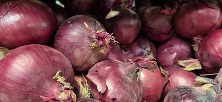 red onions in a market photo