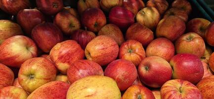 apples in a market photo