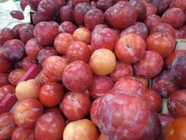 group of red plums photo